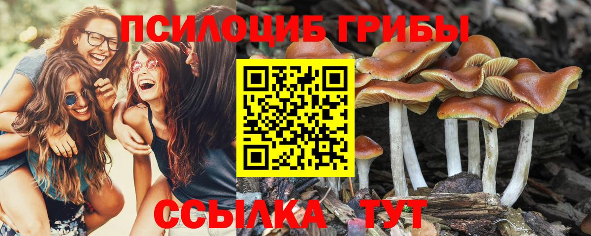 Ишимбай  Галлюциногенные грибы ЛСД  Вход с VPN 